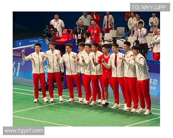 南京羽毛球队技术实力强劲荣登全国羽毛球技术排行榜第五名