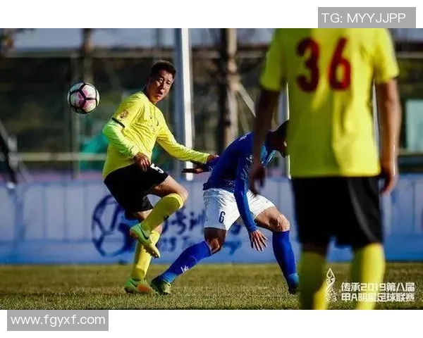 南京足球队实力强劲荣登全国足球力量排行榜第八名