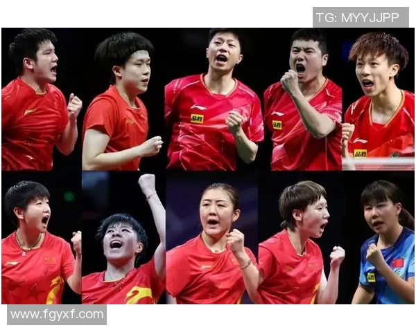 北京乒乓球队状态分析与未来展望聚焦乒乓球发展新机遇